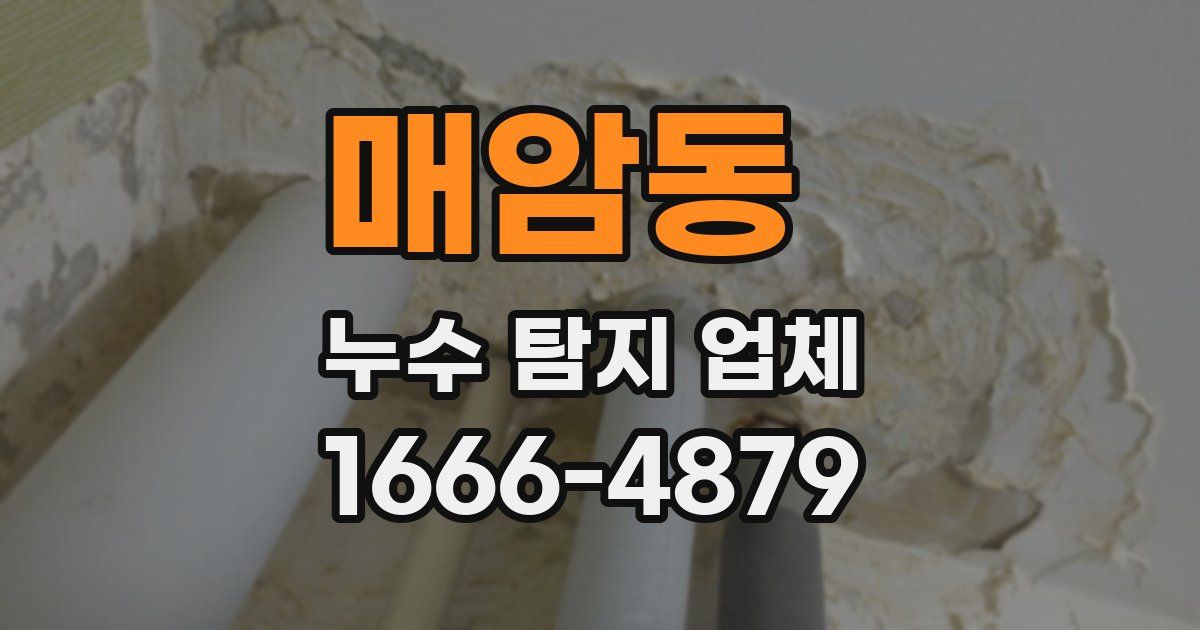 매암동 누수 탐지 업체