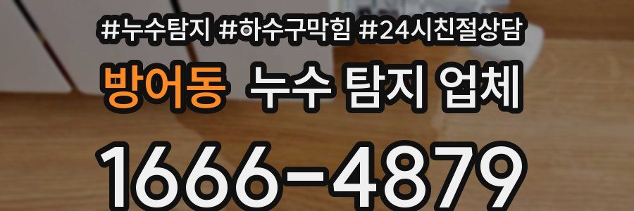 방어동 누수 탐지 업체