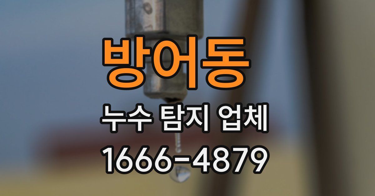 방어동 누수 탐지 업체
