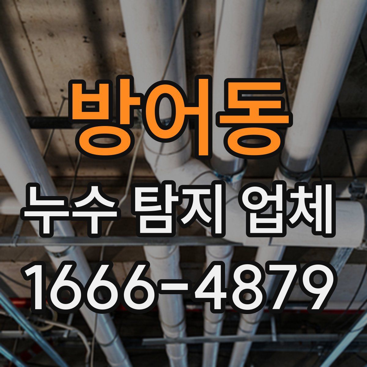 방어동 누수 탐지 업체