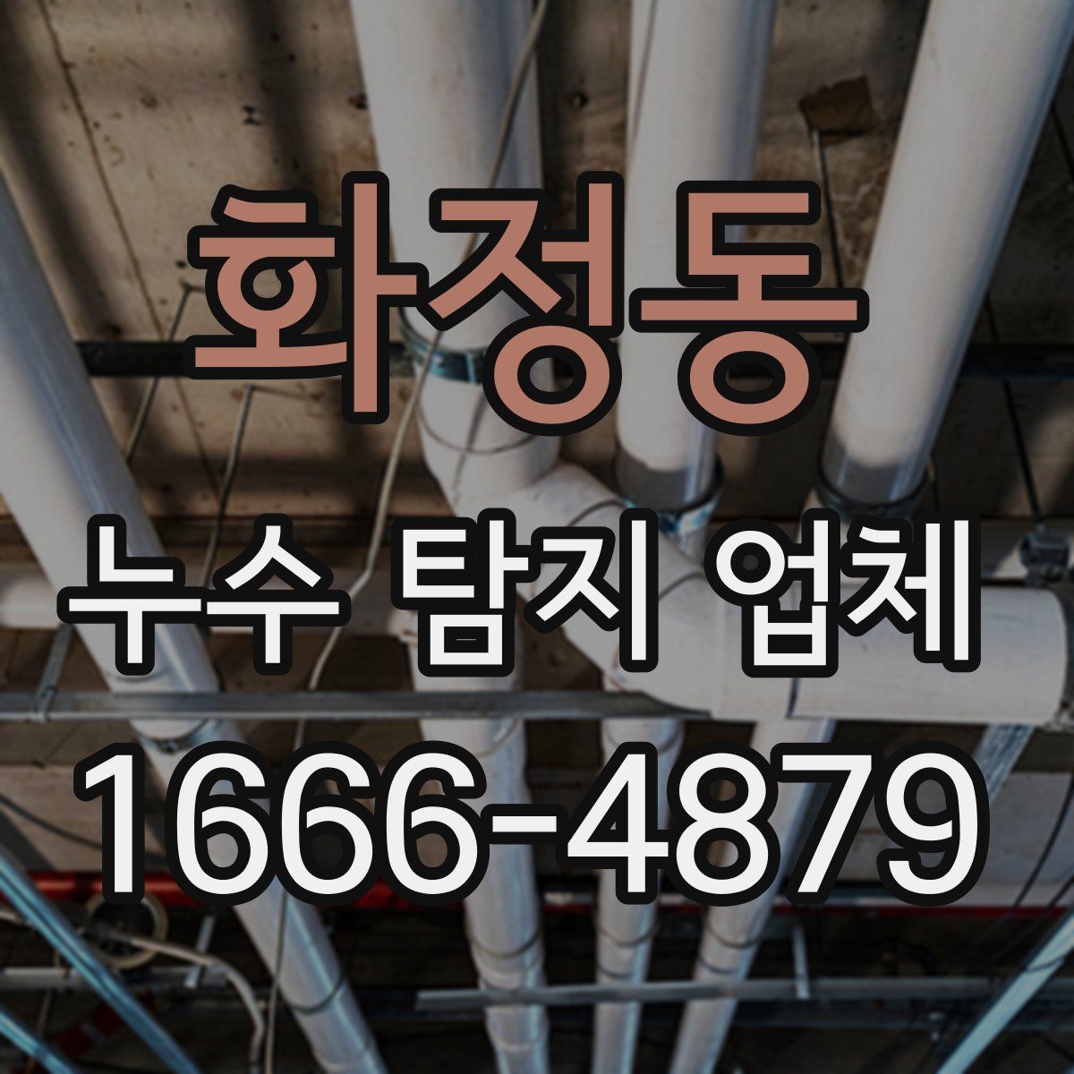 화정동 누수 탐지 업체