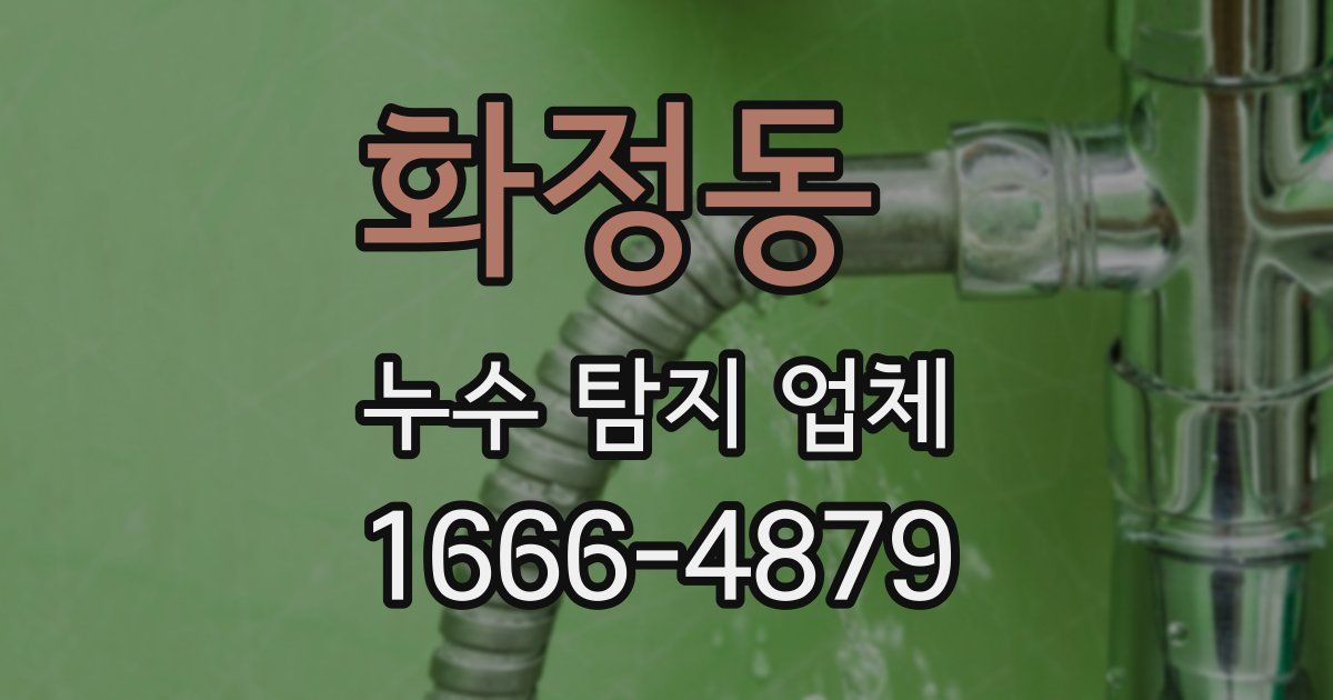 화정동 누수 탐지 업체