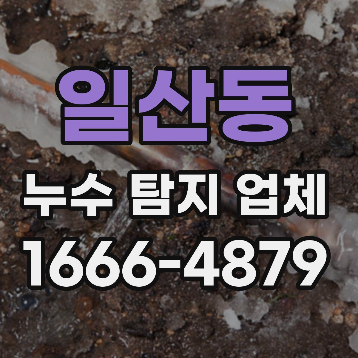 일산동 누수 탐지 업체
