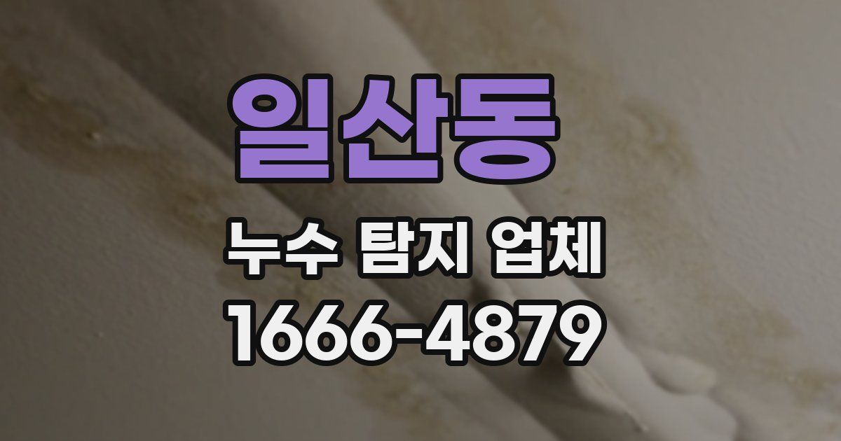 일산동 누수 탐지 업체