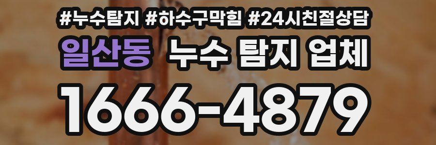 일산동 누수 탐지 업체