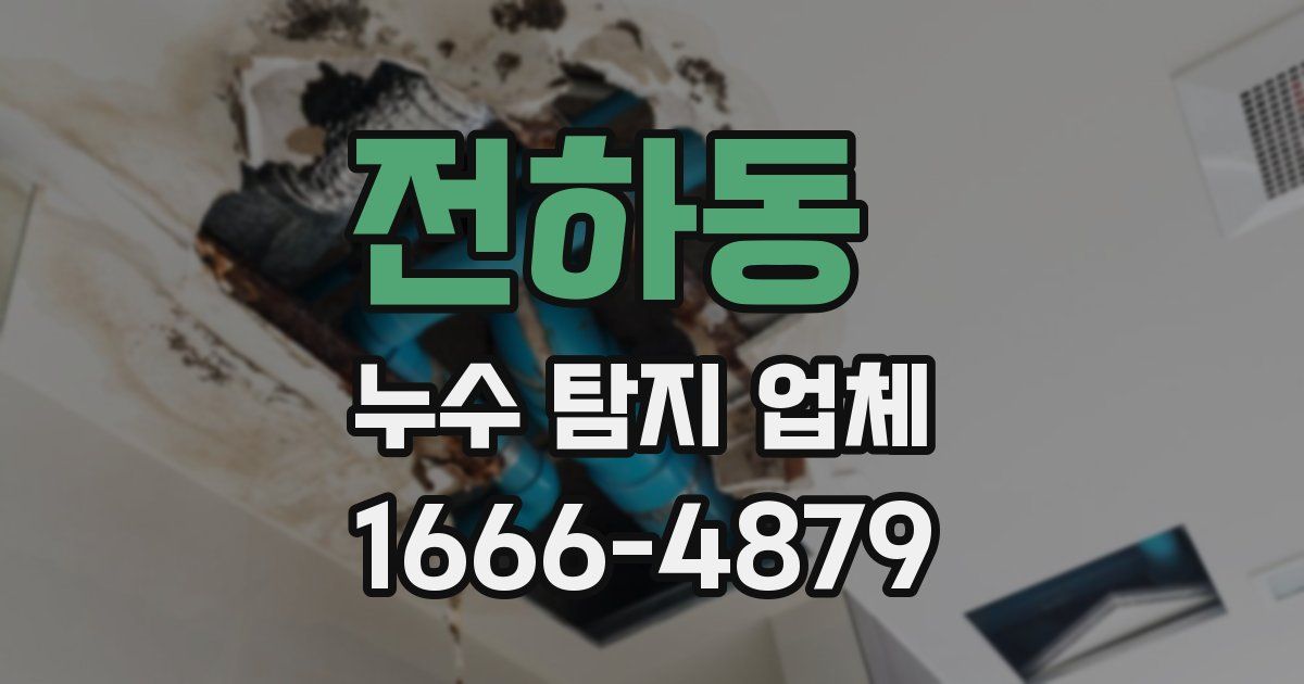 전하동 누수 탐지 업체