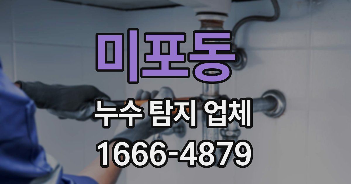 미포동 누수 탐지 업체