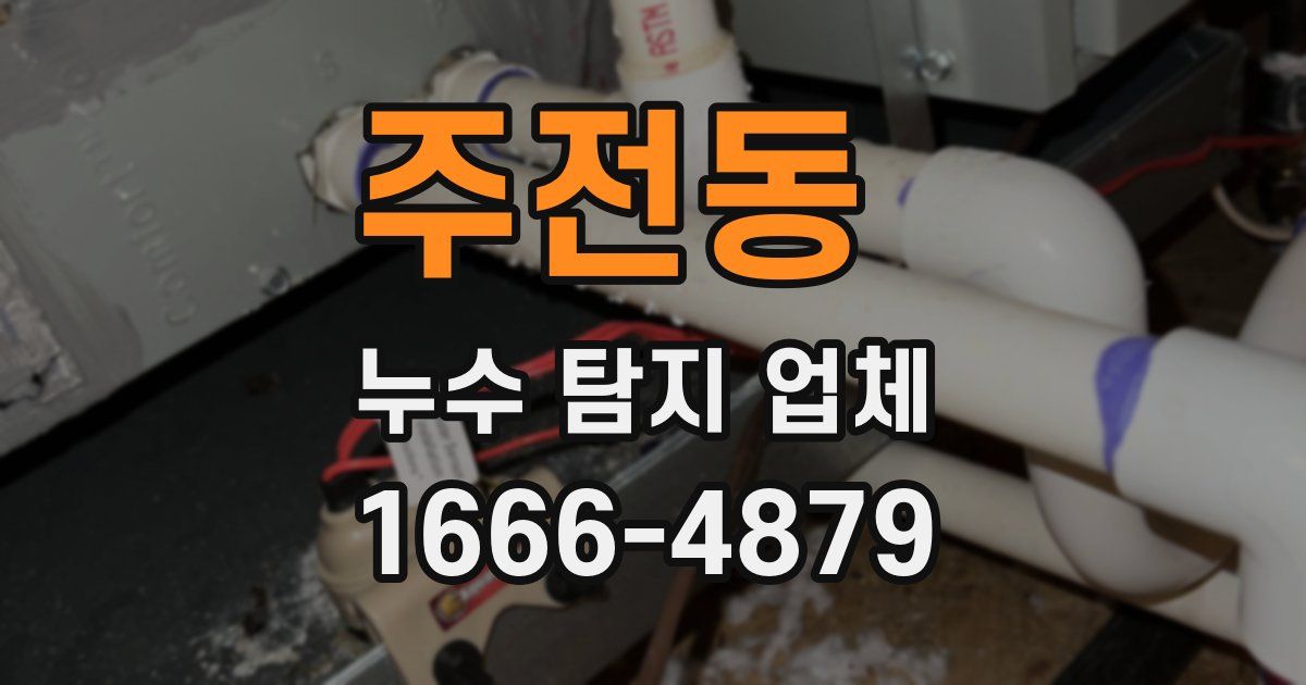 주전동 누수 탐지 업체