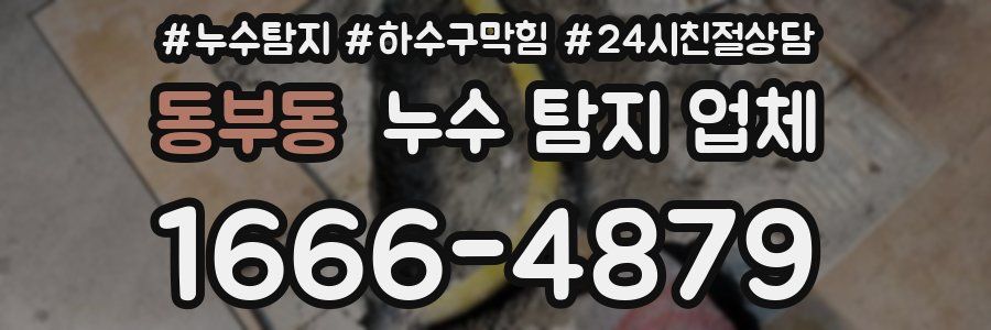 동부동 누수 탐지 업체