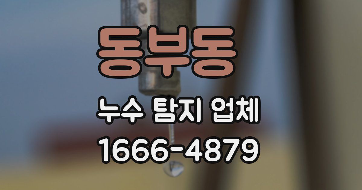 동부동 누수 탐지 업체