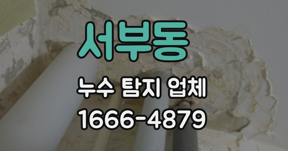 서부동 누수 탐지 업체