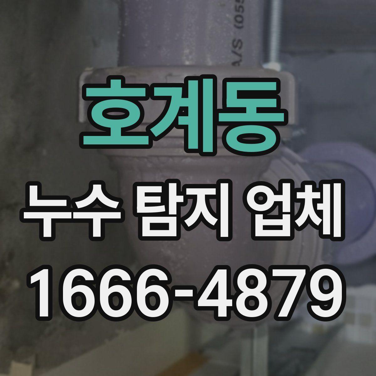 호계동 누수 탐지 업체