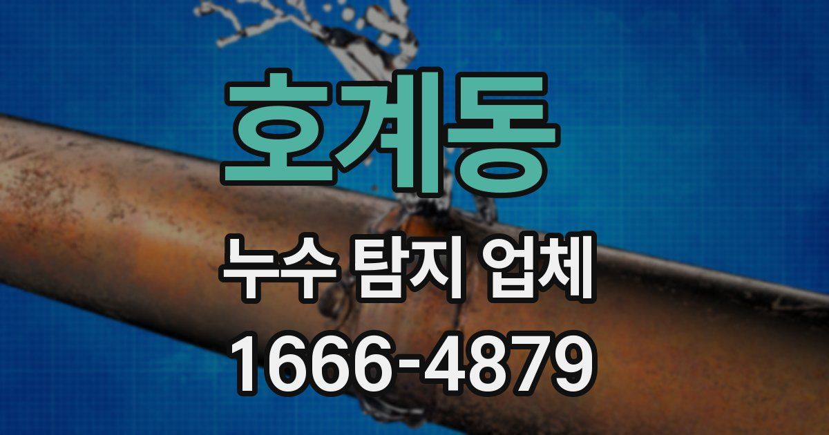 호계동 누수 탐지 업체
