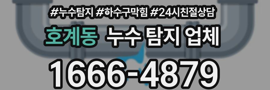 호계동 누수 탐지 업체