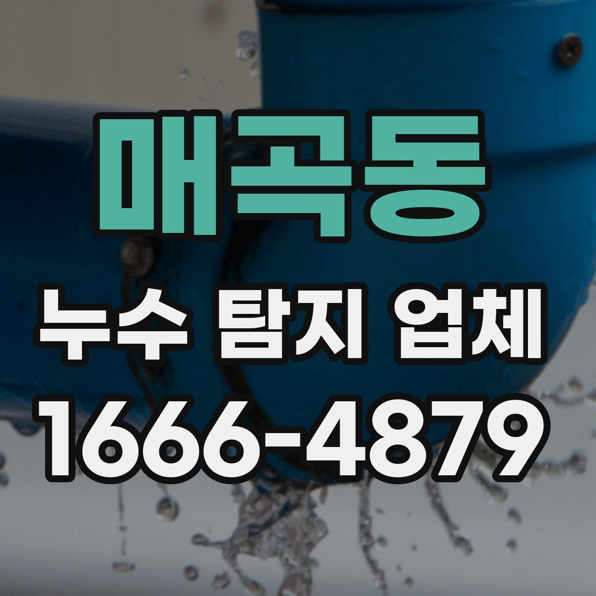 매곡동 누수 탐지 업체