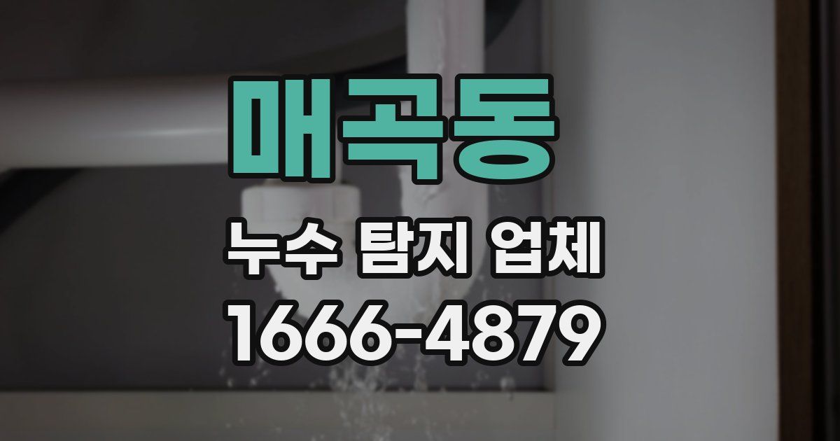 매곡동 누수 탐지 업체