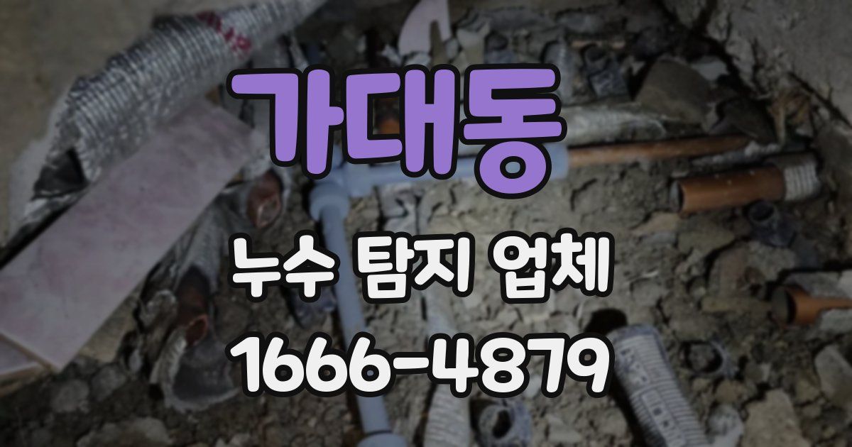 가대동 누수 탐지 업체