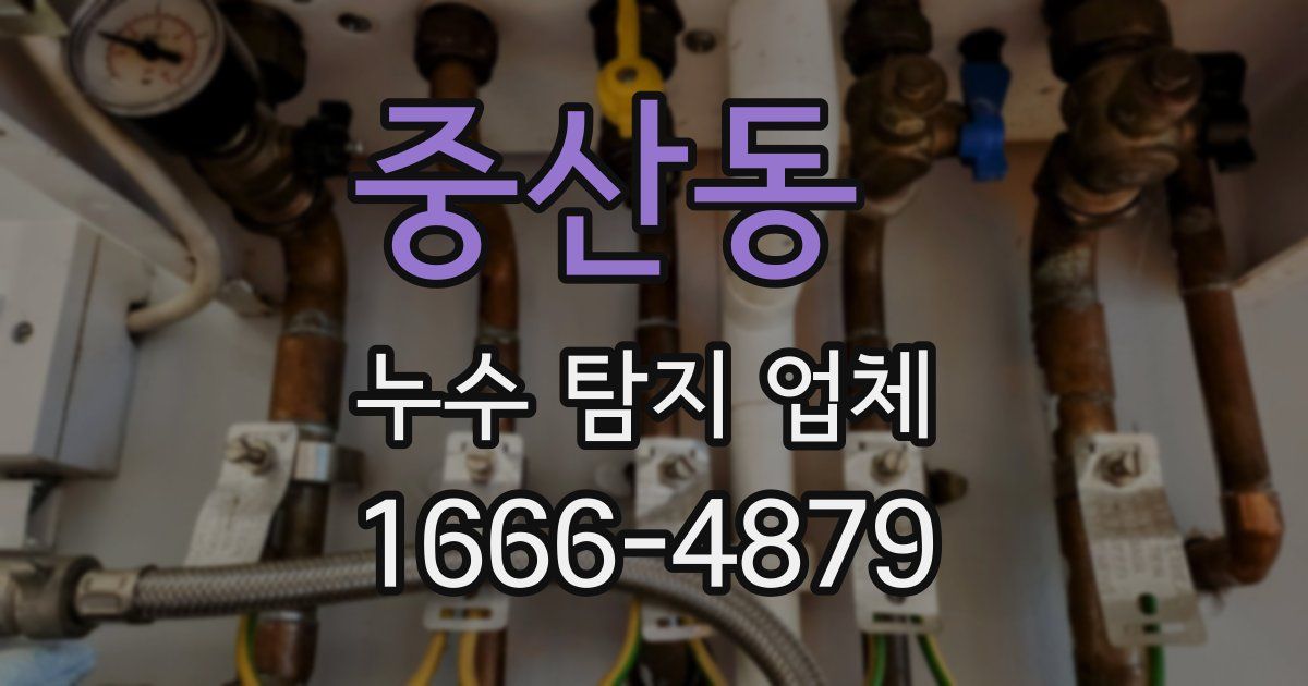 중산동 누수 탐지 업체
