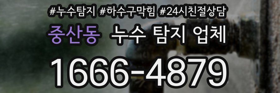 중산동 누수 탐지 업체