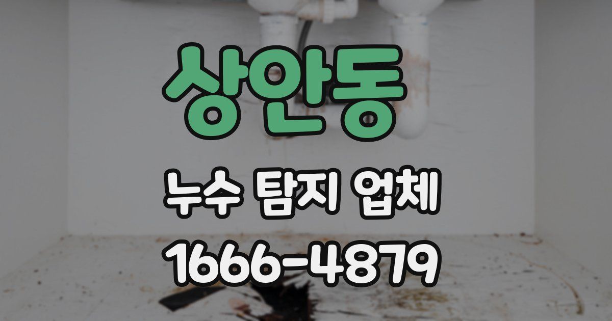 상안동 누수 탐지 업체