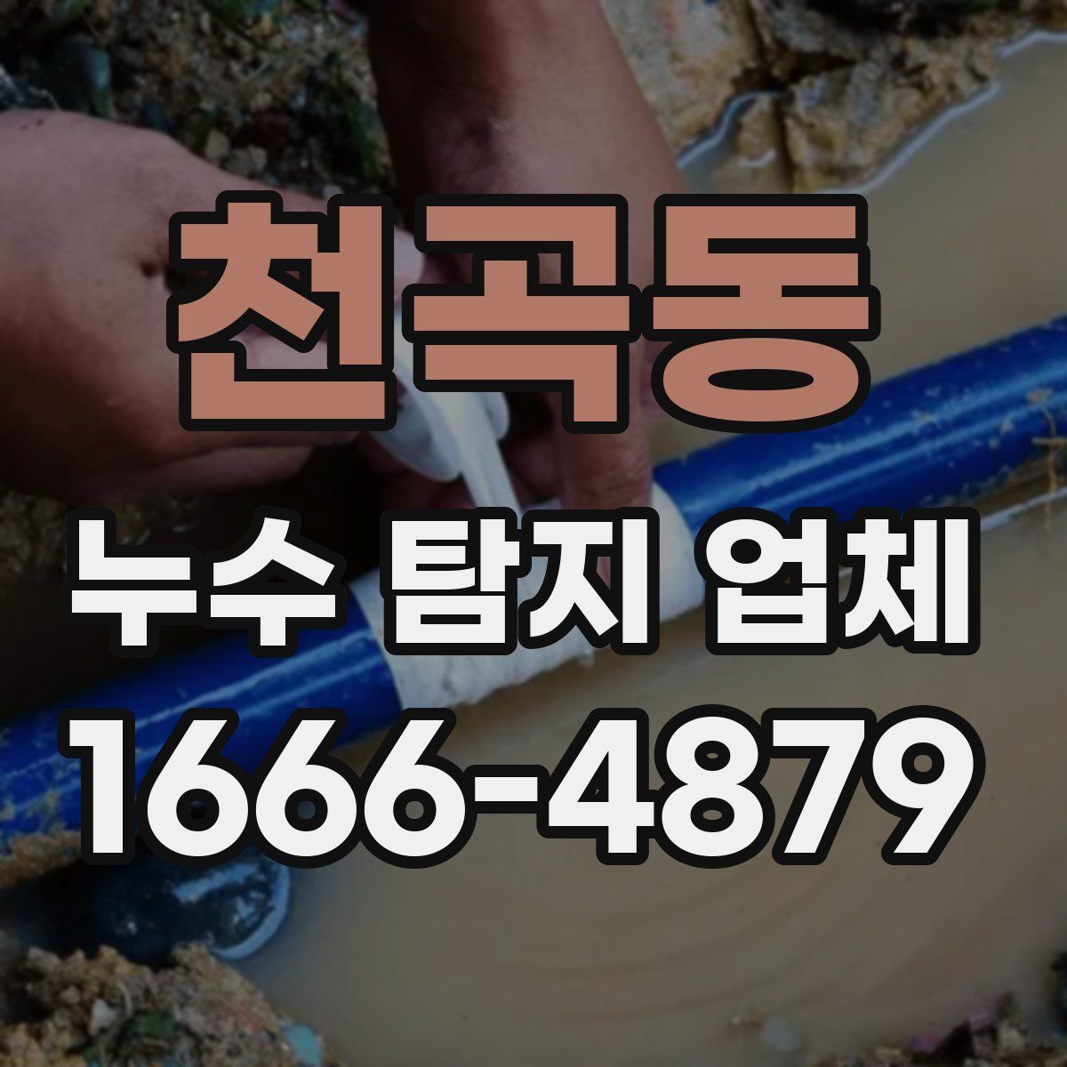 천곡동 누수 탐지 업체