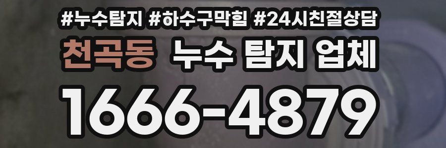 천곡동 누수 탐지 업체