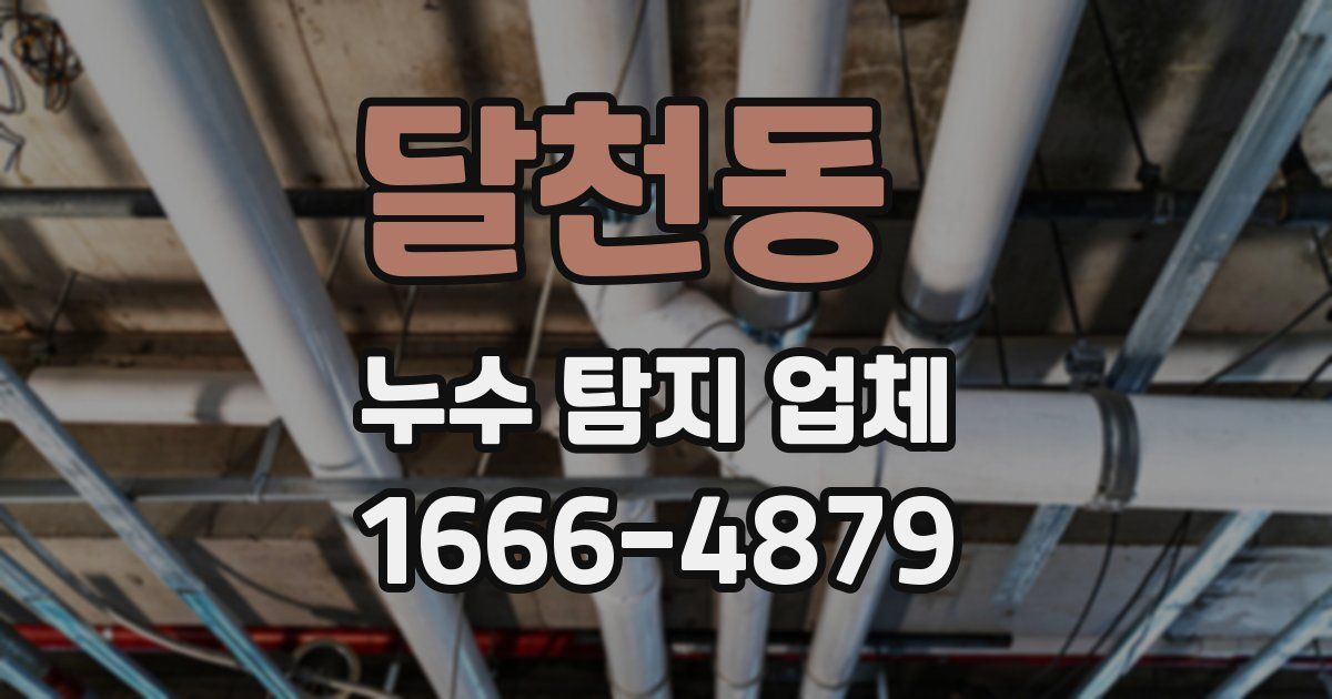 달천동 누수 탐지 업체