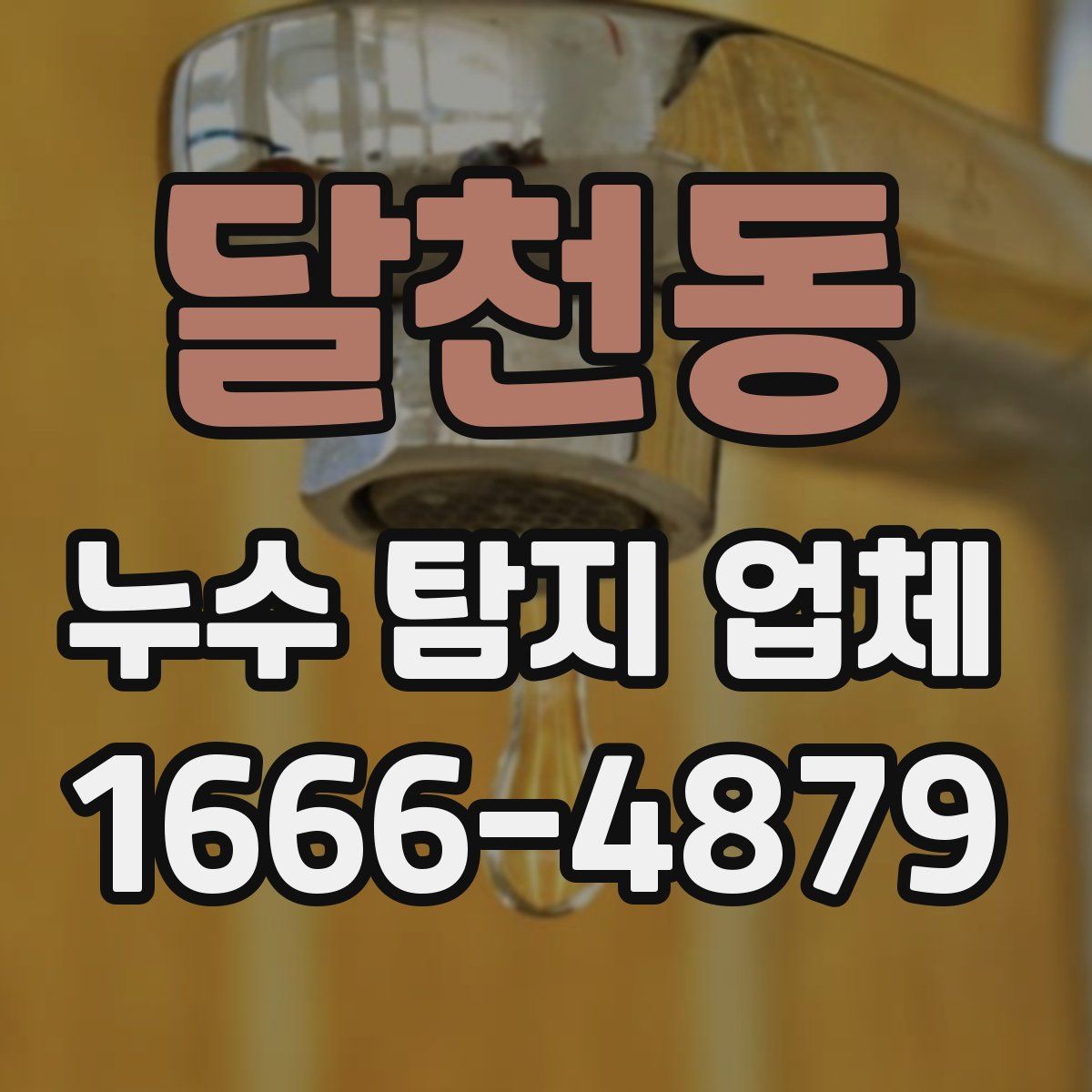 달천동 누수 탐지 업체