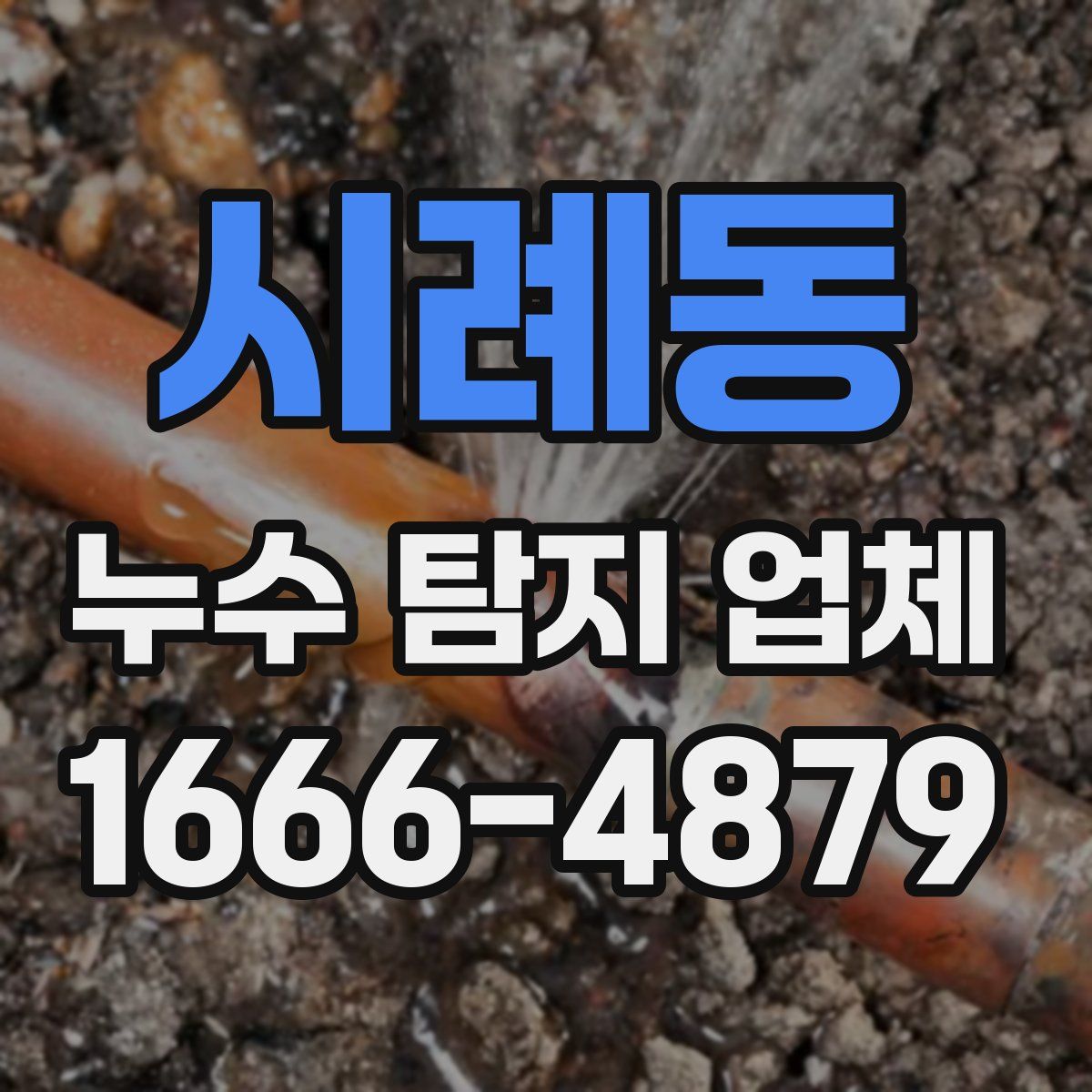 시례동 누수 탐지 업체