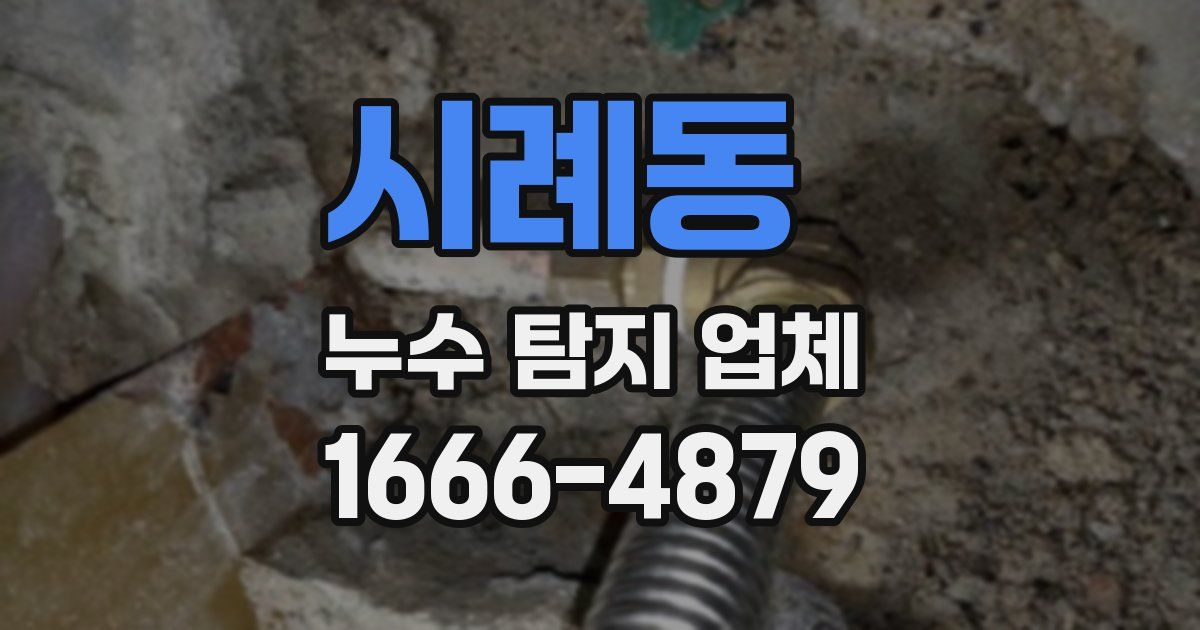 시례동 누수 탐지 업체