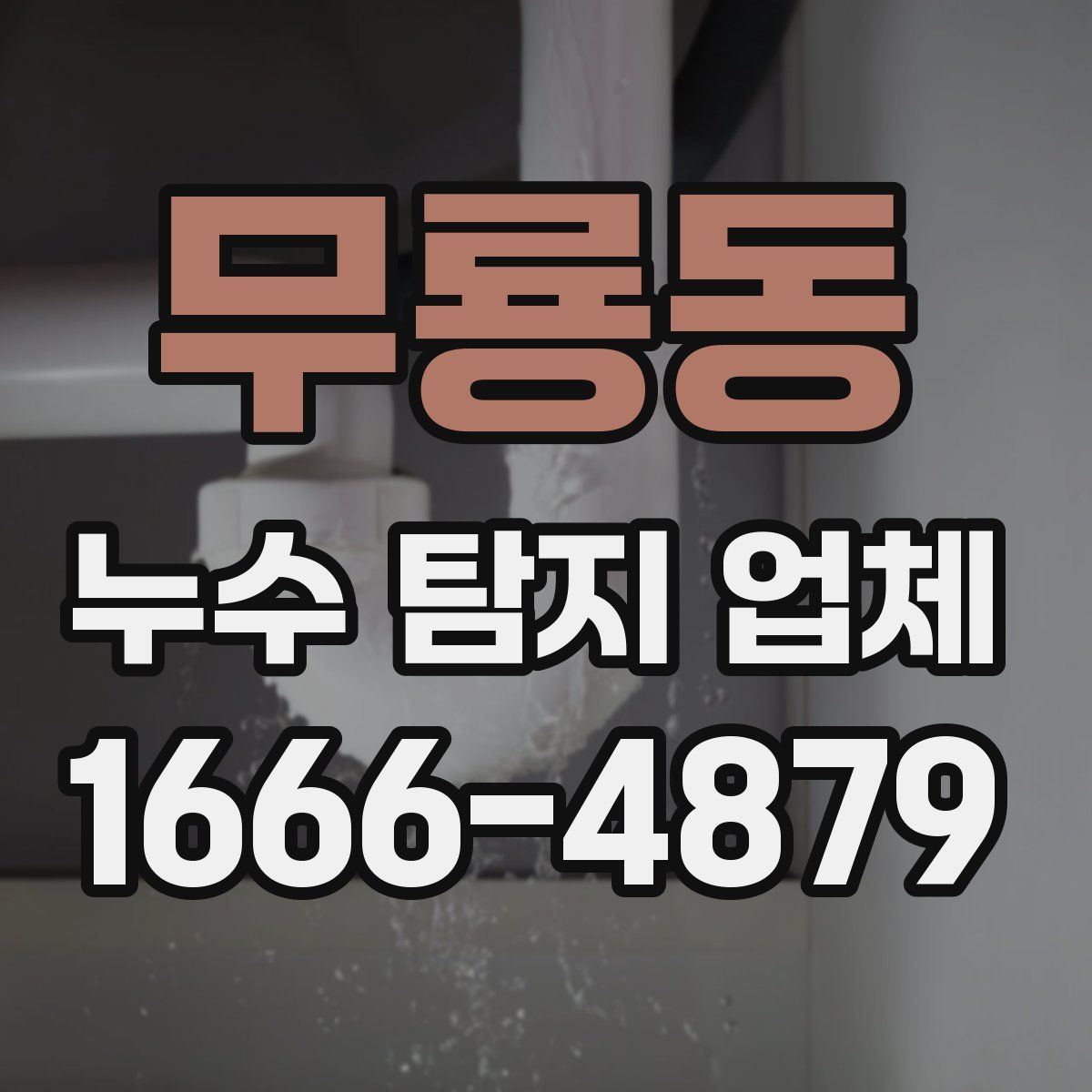 무룡동 누수 탐지 업체