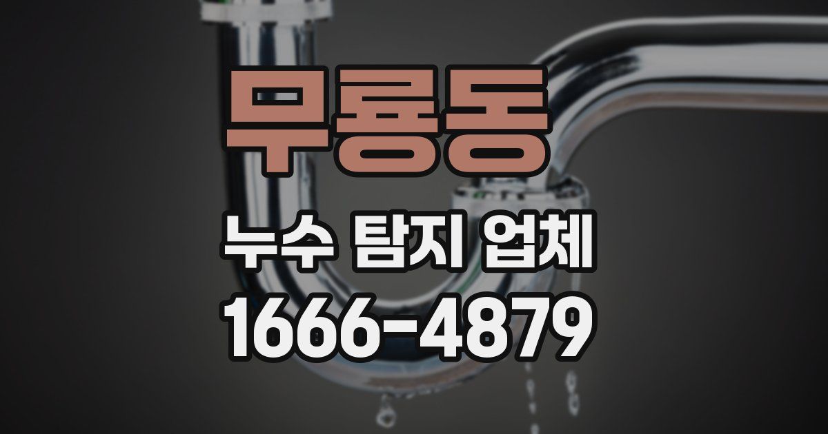 무룡동 누수 탐지 업체