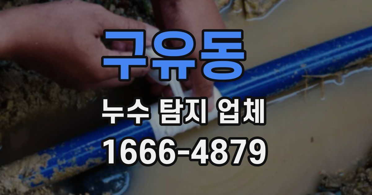 구유동 누수 탐지 업체