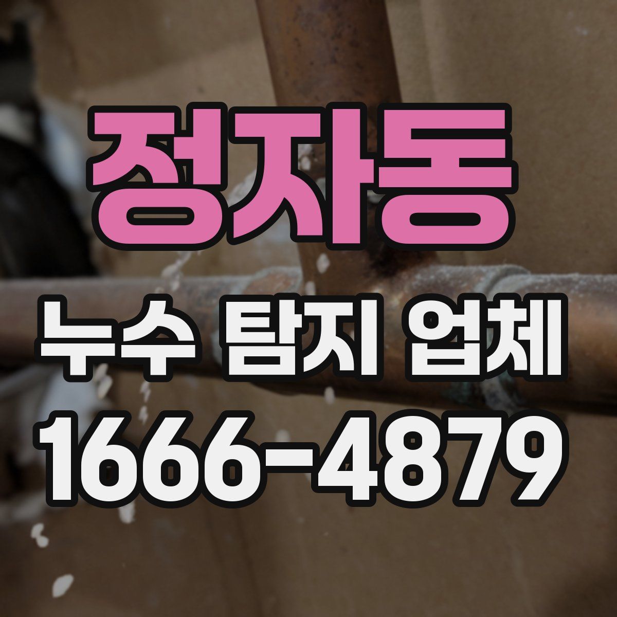 정자동 누수 탐지 업체
