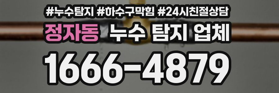 정자동 누수 탐지 업체