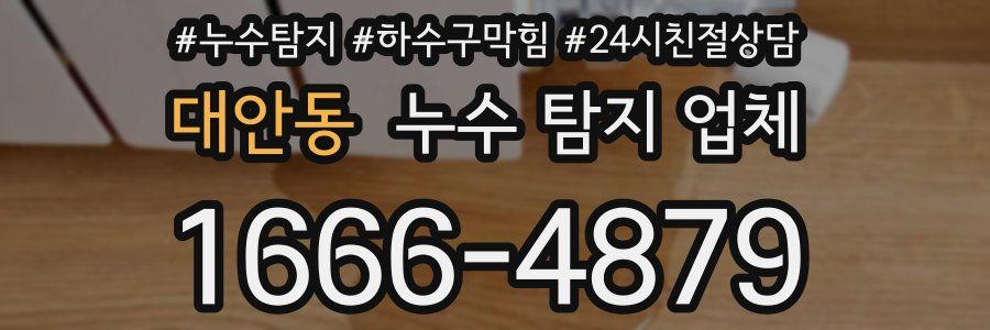 대안동 누수 탐지 업체