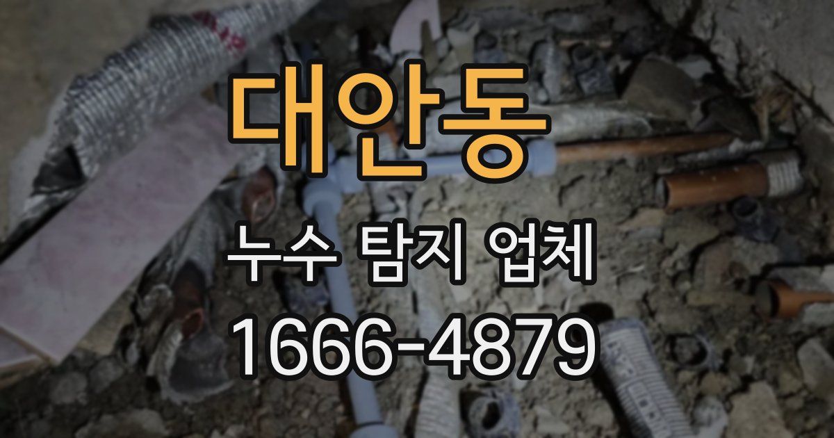대안동 누수 탐지 업체