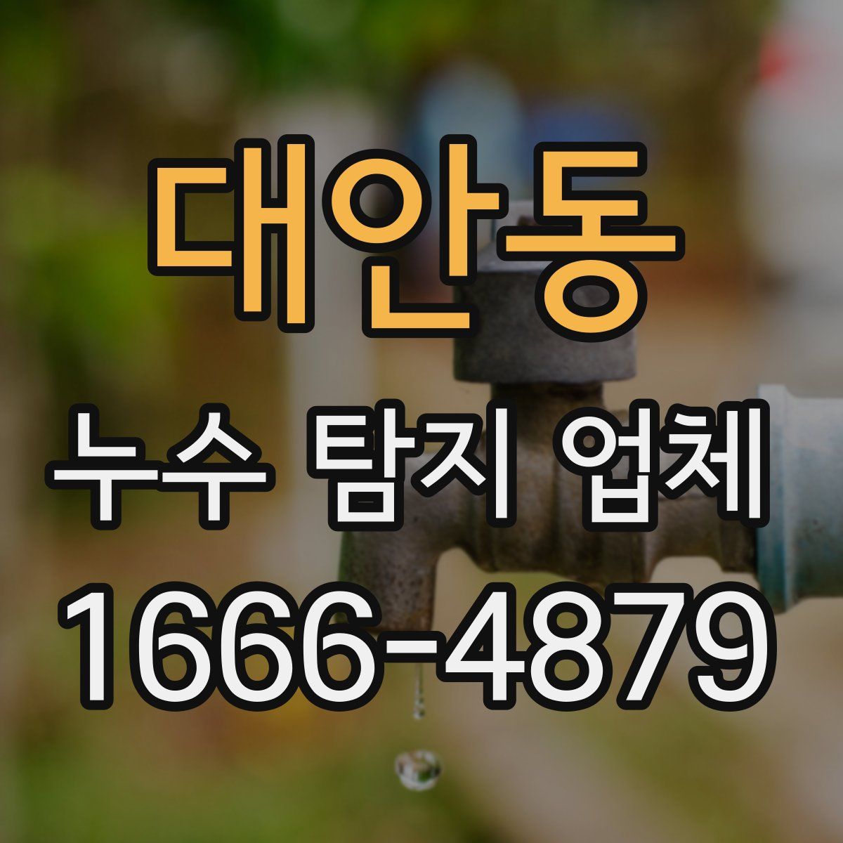 대안동 누수 탐지 업체