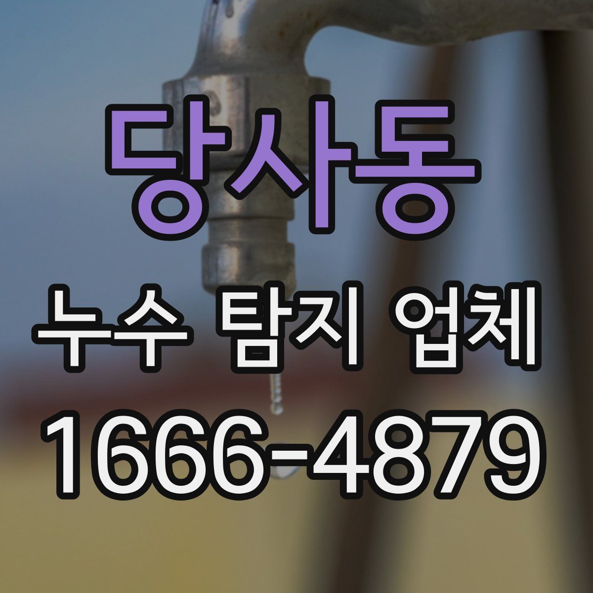 당사동 누수 탐지 업체