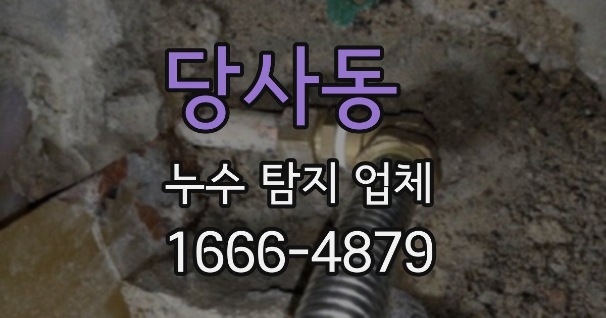 당사동 누수 탐지 업체