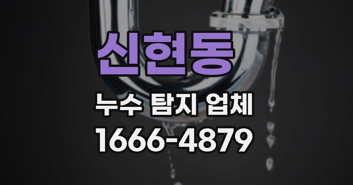 신현동 누수 탐지 업체