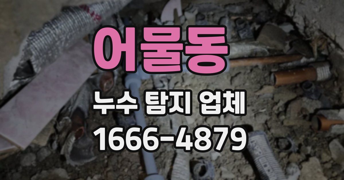 어물동 누수 탐지 업체