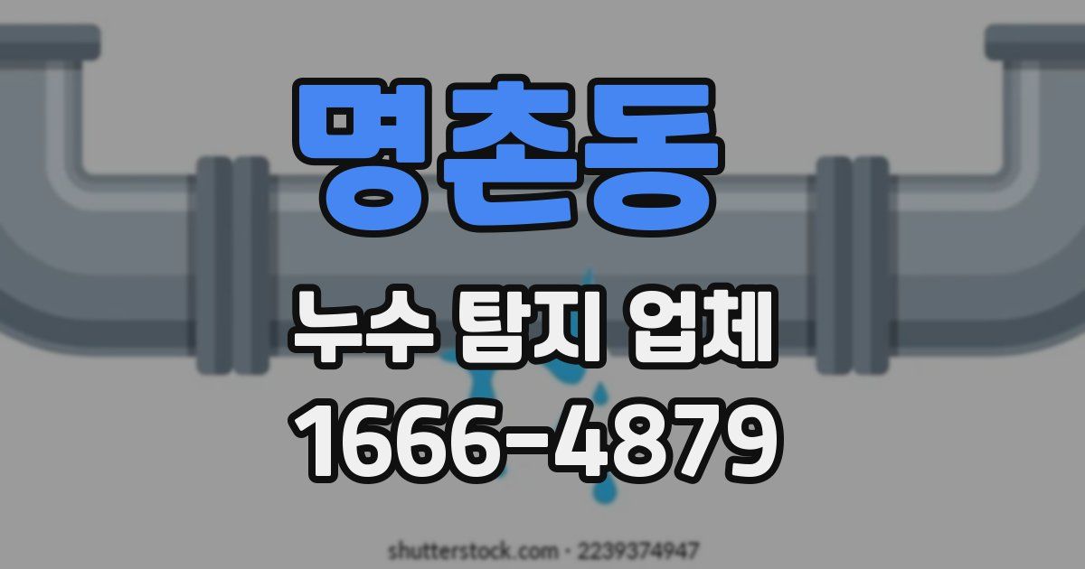 명촌동 누수 탐지 업체