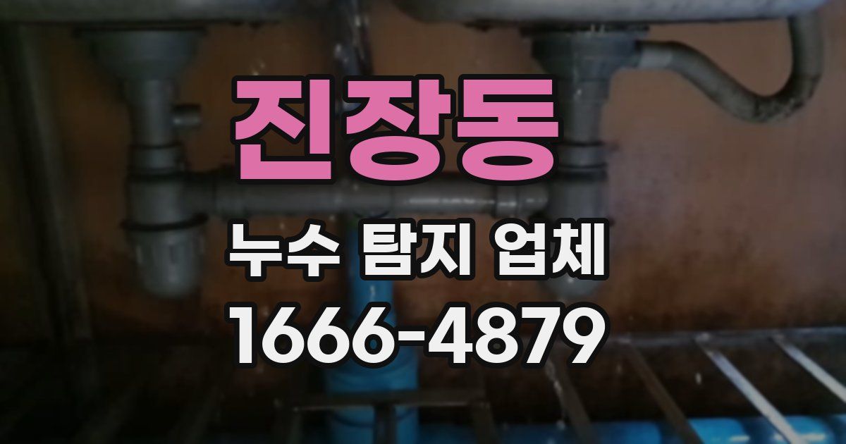 진장동 누수 탐지 업체