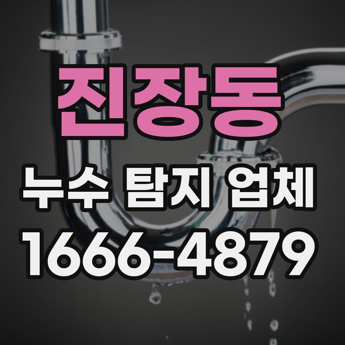 진장동 누수 탐지 업체
