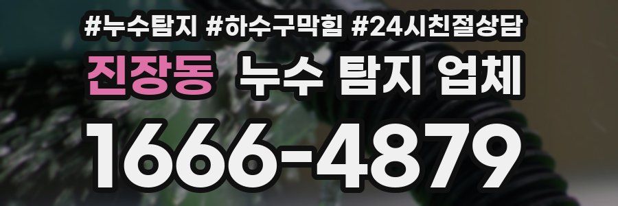진장동 누수 탐지 업체