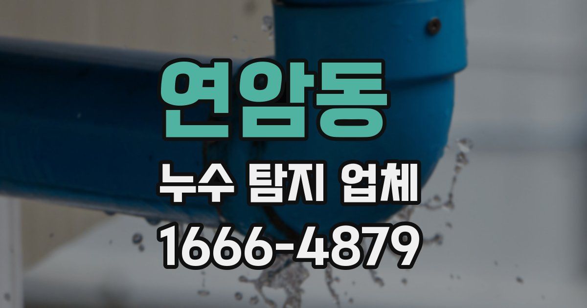 연암동 누수 탐지 업체
