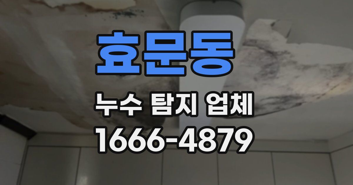 효문동 누수 탐지 업체