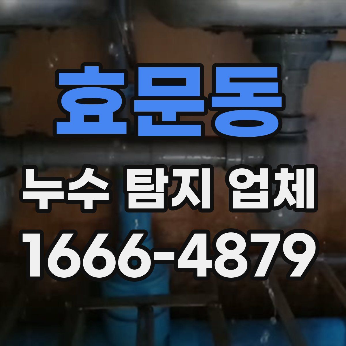 효문동 누수 탐지 업체