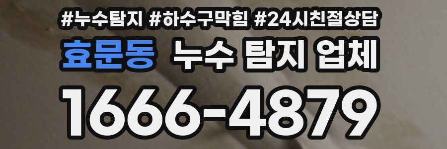 효문동 누수 탐지 업체